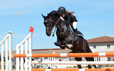 KÍVÁNCSI VAGY, MI AZ A TOP 5 BUKTATÓ, AMI MIATT NEM FEJLŐDIK AZ ÜZLETI ANGOL NYELVTUDÁSOD?